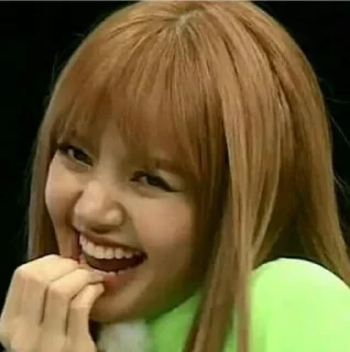 Sticker from Lisa meme