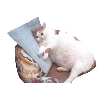 😥 emoji memes by dei Telegram sticker 11 of 108