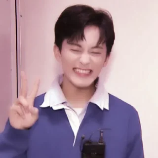 🍉 emoji +:‧₊ mark lee @stickernct Telegram sticker 6 of 30
