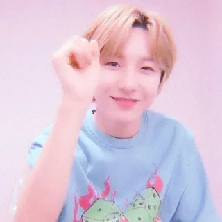🥟 emoji ʚ @stuffiespie as renjunie. ✰ Telegram sticker 9 of 56