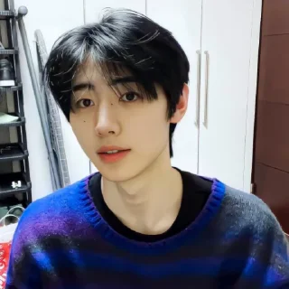🐧 emoji ⵌ ᩴ⸒𝁓̫᪽ᱪ @CRYBIER ╳ PARK SUNGHOON ⛤𑂴ᰶᰶ𝂊 Telegram sticker 15 of 30