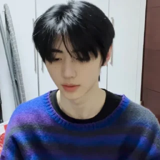 🐧 emoji ⵌ ᩴ⸒𝁓̫᪽ᱪ @CRYBIER ╳ PARK SUNGHOON ⛤𑂴ᰶᰶ𝂊 Telegram sticker 21 of 30