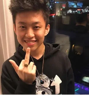 🖕 emoji @smithereenstuff rich brian Telegram sticker 20 of 34