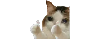 🥺 emoji Join - @trystickers Telegram sticker 18 of 80