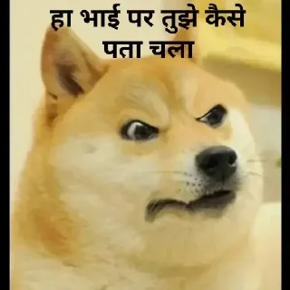 🧐 emoji Hindi Cheems @ManasTheKing Telegram sticker 24 of 75
