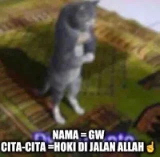 Sticker from Meme jelek.