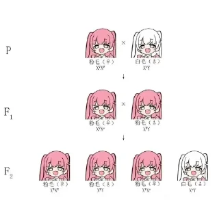 🫛 emoji LeeHe自用包 Telegram sticker 15 of 120
