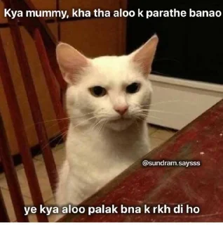 😒 emoji @Opstickerpacks 🌟 cat Memes 😎💫 Telegram sticker 7 of 67
