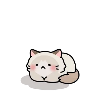 Sticker from 말랑뽀짝 고양이들 3 By @KakaoEmoticon