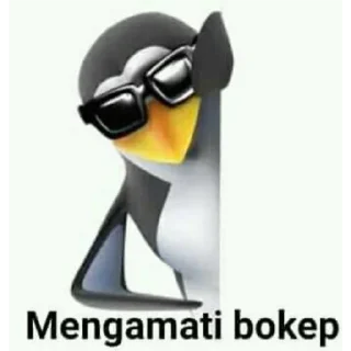 🙂 emoji pinguin bokep Telegram sticker 22 of 30