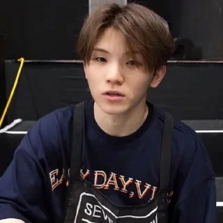 Sticker from woozi random