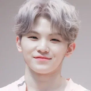 Sticker from woozi ⋆ @cipagorum