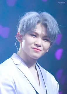 😀 emoji Woozi Telegram sticker 16 of 24
