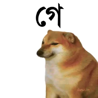 👀 emoji @TanvirAhmed_555 DogePack Telegram sticker 11 of 68