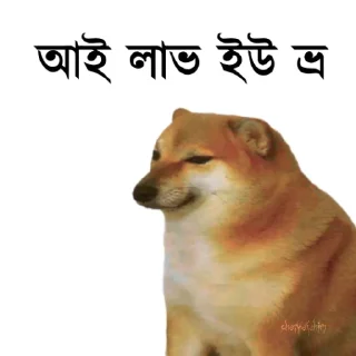 👀 emoji @TanvirAhmed_555 DogePack Telegram sticker 19 of 68