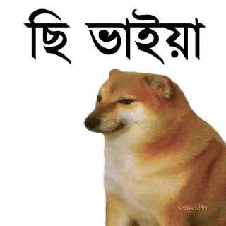 👀 emoji @TanvirAhmed_555 DogePack Telegram sticker 20 of 68