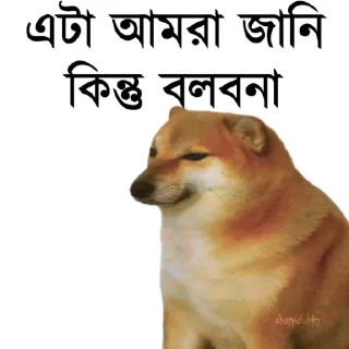 👀 emoji @TanvirAhmed_555 DogePack Telegram sticker 14 of 68