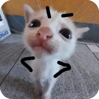 🫥 emoji sk sk pejjoy Telegram sticker 8 of 19