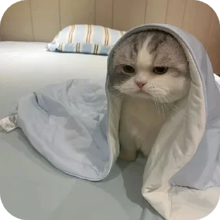🐱 emoji Bui bui bui bui Telegram sticker 15 of 120
