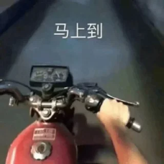 🌧 emoji 大狗的表情 Telegram sticker 15 of 71