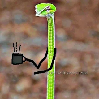 😌 emoji SNAKES @animestickerchannel Telegram sticker 22 of 60