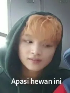 🎗 emoji Haechan meme @xxxalan Telegram sticker 20 of 59