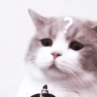 😼 emoji — @teyaffnyxcenel Telegram sticker 20 of 24