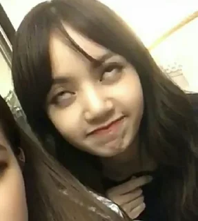 Sticker from lisa meme @mentahanRoleplay