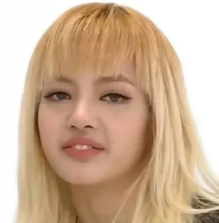 😏 emoji lisa meme @mentahanRoleplay Telegram sticker 23 of 25