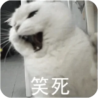 🤣 emoji 这是灵泠依的贴纸哟（@linglingyi0721） Telegram sticker 10 of 40