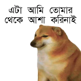 Sticker from DogePack @charkafahim Vol. 1