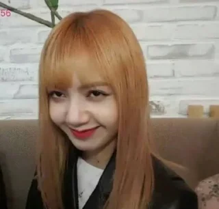🙂 emoji Lisa meme Telegram sticker 24 of 29