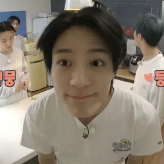 Sticker from ᣴ𝑧ᶰ | jeno meme @STICKERJENO あ
