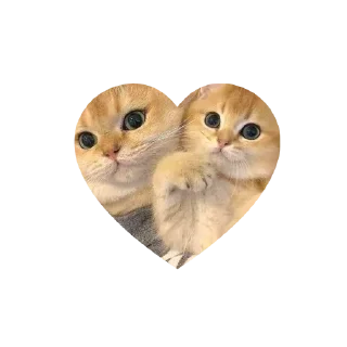 🤩 emoji Join - @Trystickers Telegram sticker 21 of 30