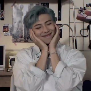 🐨 emoji ﹟𝐍𝐀𝐌𝐉𝐎𝐎𝐍 ; @J0RGAV Telegram sticker 22 of 27
