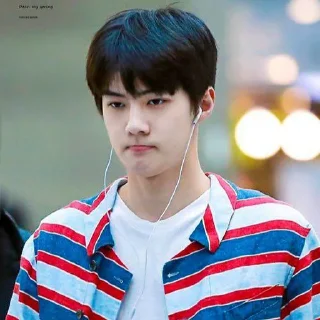 🐻 emoji Sehun cute @aesthaticgirll Telegram sticker 18 of 32