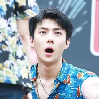 🐻 emoji Sehun cute @aesthaticgirll Telegram sticker 10 of 32