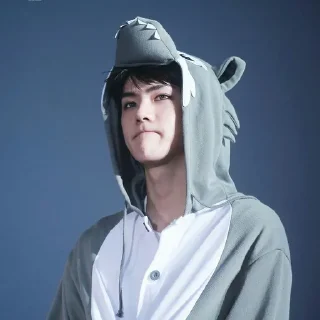 🐻 emoji Sehun cute @aesthaticgirll Telegram sticker 17 of 32