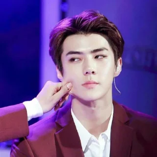 🐻 emoji Sehun cute @aesthaticgirll Telegram sticker 20 of 32
