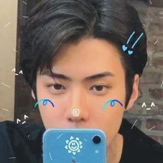 🐻 emoji Sehun cute @aesthaticgirll Telegram sticker 24 of 32