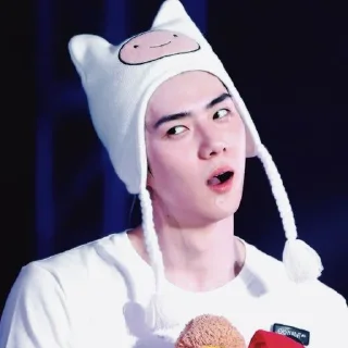 🐻 emoji Sehun cute @aesthaticgirll Telegram sticker 15 of 32