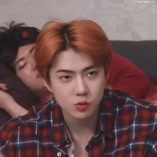 🐻 emoji Sehun cute @aesthaticgirll Telegram sticker 4 of 32