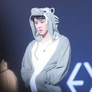 🐻 emoji Sehun cute @aesthaticgirll Telegram sticker 8 of 32