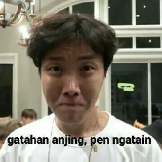 😂 emoji BTS MEME INDO @MOANHYBRID Telegram sticker 24 of 30
