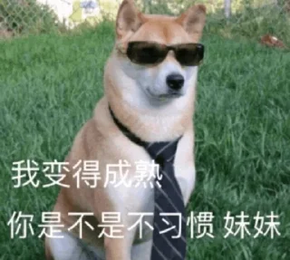 🚖 emoji 大狗的表情 Telegram sticker 14 of 71