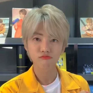 🐢 emoji arez as jaemin @yourkindgurl Telegram sticker 19 of 20
