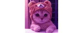 🥺 emoji Join - @trystickers Telegram sticker 23 of 80