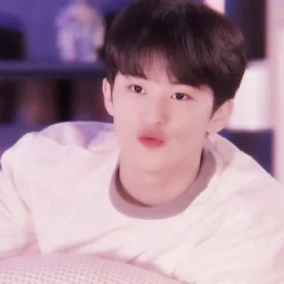 🍉 emoji +:‧₊ mark lee @stickernct Telegram sticker 5 of 30