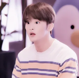 🍉 emoji +:‧₊ mark lee @stickernct Telegram sticker 16 of 30
