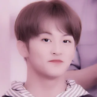 🍉 emoji +:‧₊ mark lee @stickernct Telegram sticker 24 of 30
